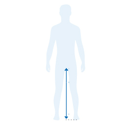 image guide des tailles